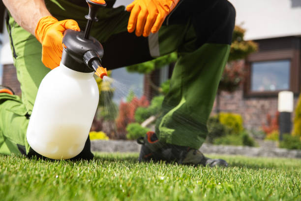 Best Residential Pest Control  in St Rose, LA