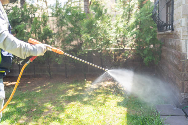 Best Best Pest Control Companies  in St Rose, LA