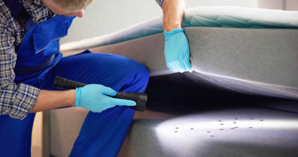 Best Wasp Removal Services  in St Rose, LA
